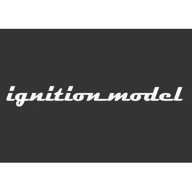 Ignition Model